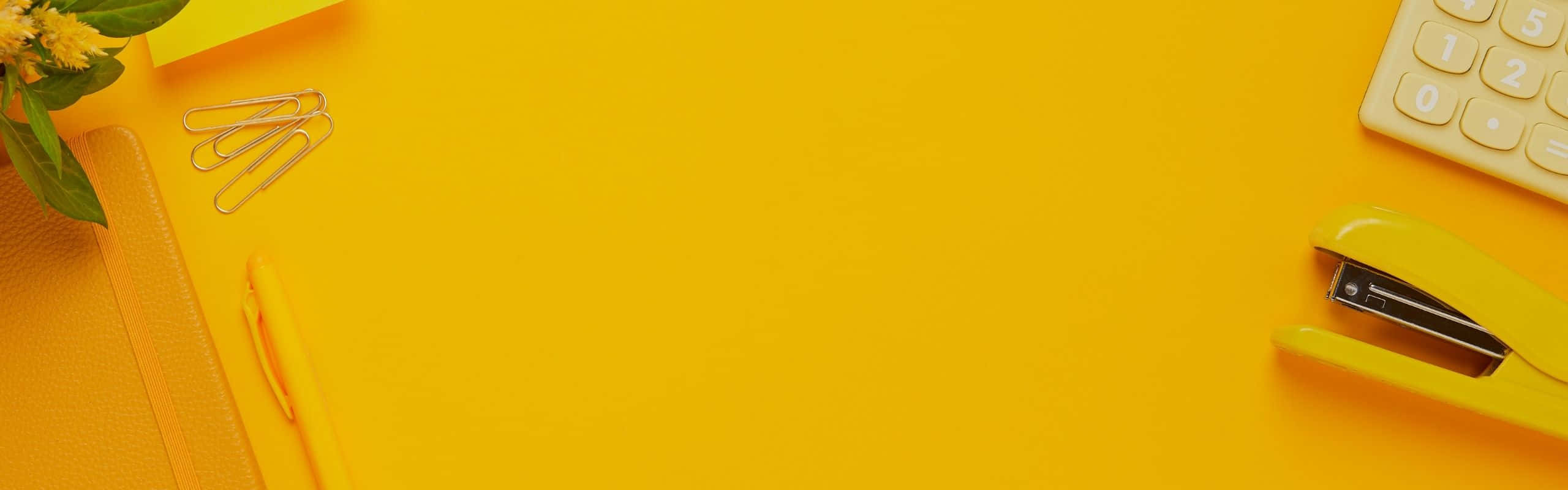 Papelería al por mayor